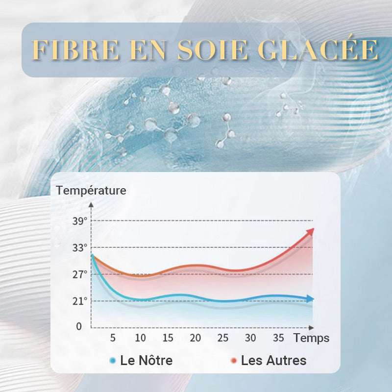 🛏️Parure en velours 4 pièces❄️Confort glacé💕【Vente directe】-50% PROMO