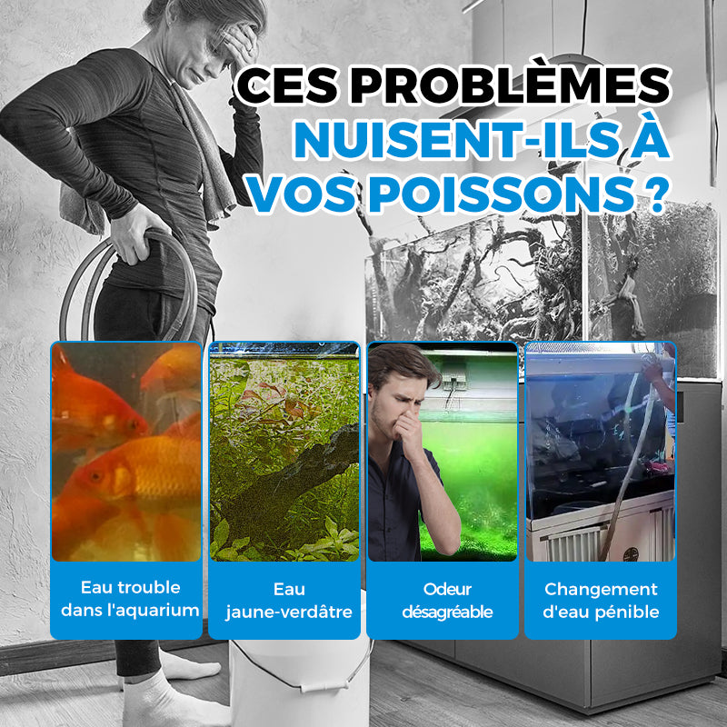 Système de Filtration Automatique pour Aquarium
