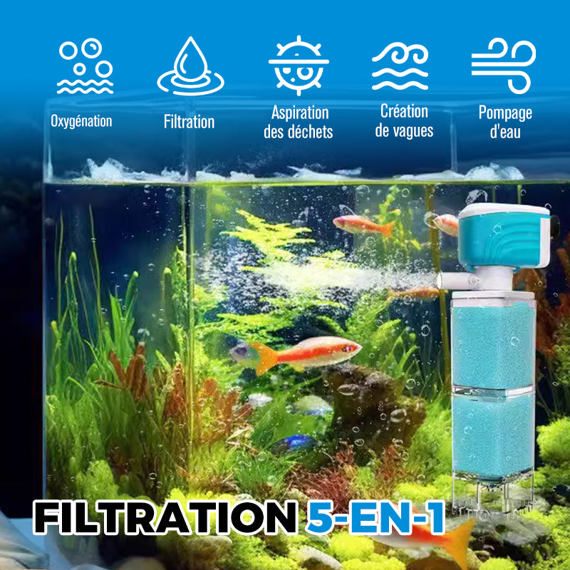 Système de Filtration Automatique pour Aquarium