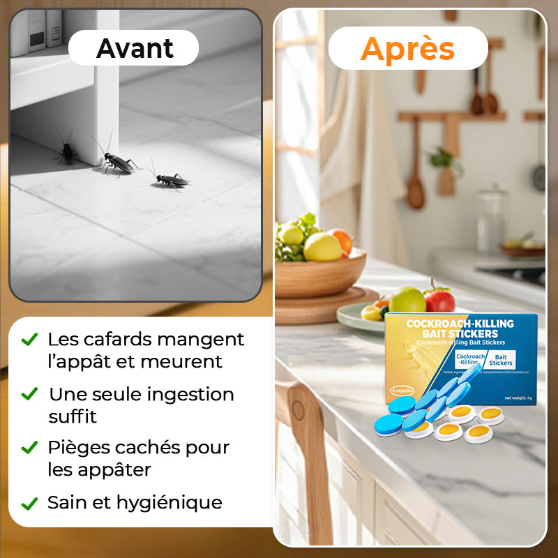 Autocollants Appâts Anti-Cafards