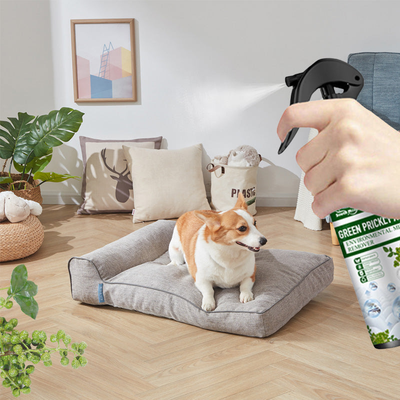 🌹 ⚡Offre limitée : achetez-en 2, obtenez-en 1 gratuitement⚡-🧑⚕️Spray puissant anti-acariens