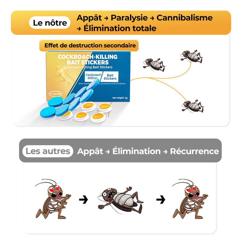 Autocollants Appâts Anti-Cafards