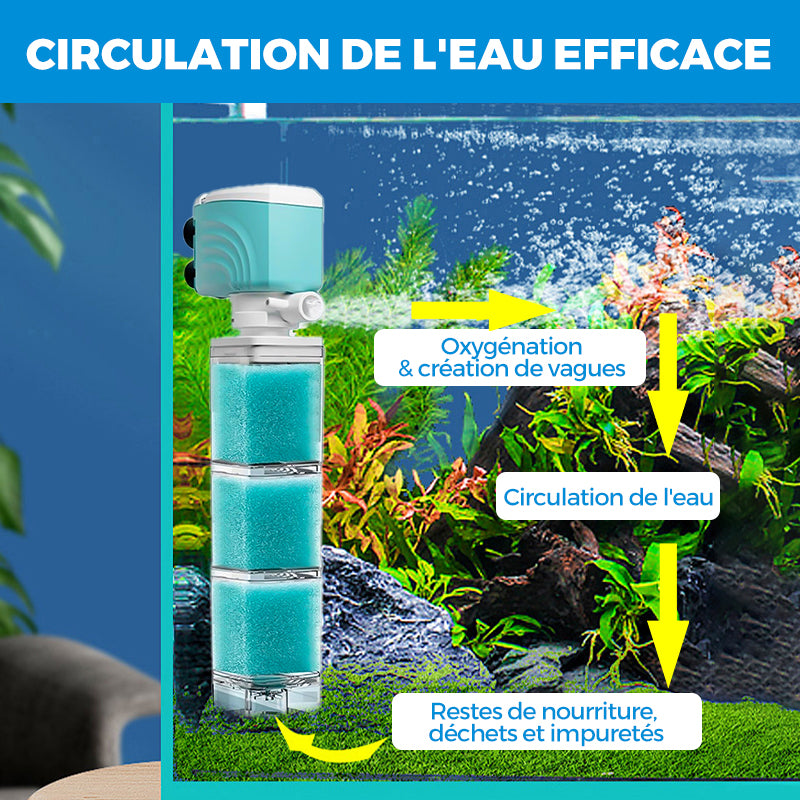 Système de Filtration Automatique pour Aquarium