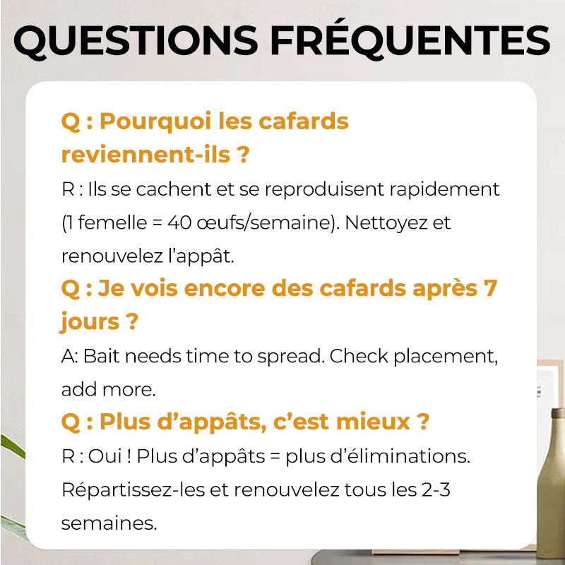 Autocollants Appâts Anti-Cafards