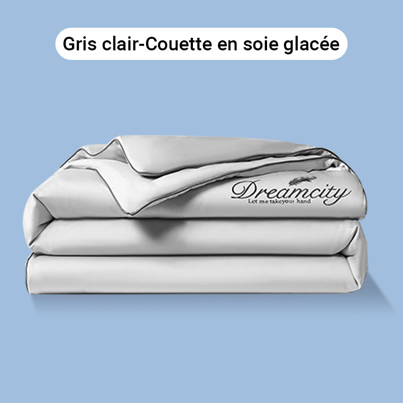 🛏️Parure en velours 4 pièces❄️Confort glacé💕【Vente directe】-50% PROMO
