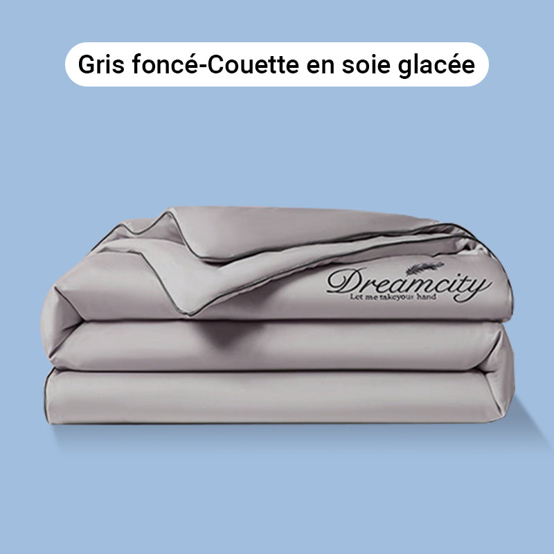 🛏️Parure en velours 4 pièces❄️Confort glacé💕【Vente directe】-50% PROMO