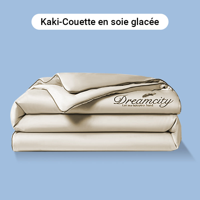 🛏️Parure en velours 4 pièces❄️Confort glacé💕【Vente directe】-50% PROMO
