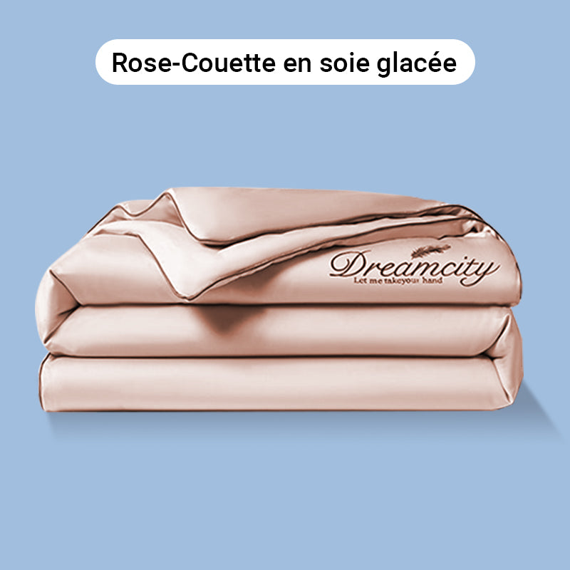 🛏️Parure en velours 4 pièces❄️Confort glacé💕【Vente directe】-50% PROMO