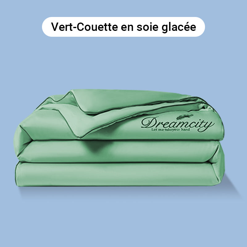 🛏️Parure en velours 4 pièces❄️Confort glacé💕【Vente directe】-50% PROMO