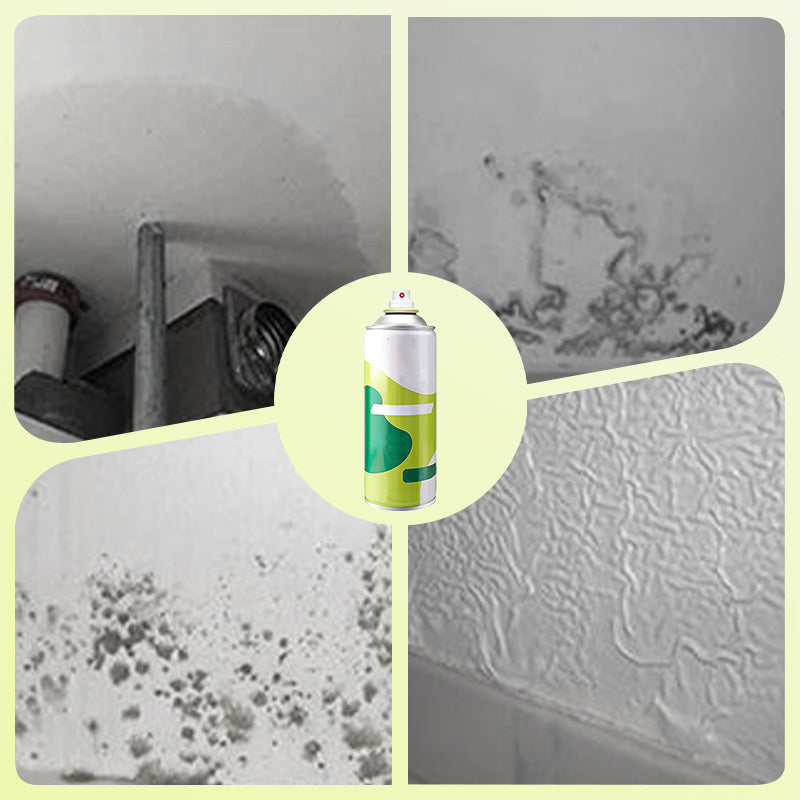 Spray de Réparation et d’Élimination des Taches pour Murs Blancs