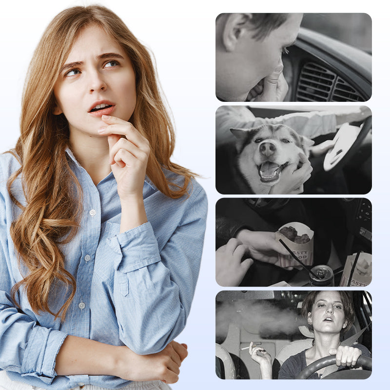 🎉 Offre de lancement limitée!🎉 Rafraîchisseur d'air pour voiture Parfum solide🌿