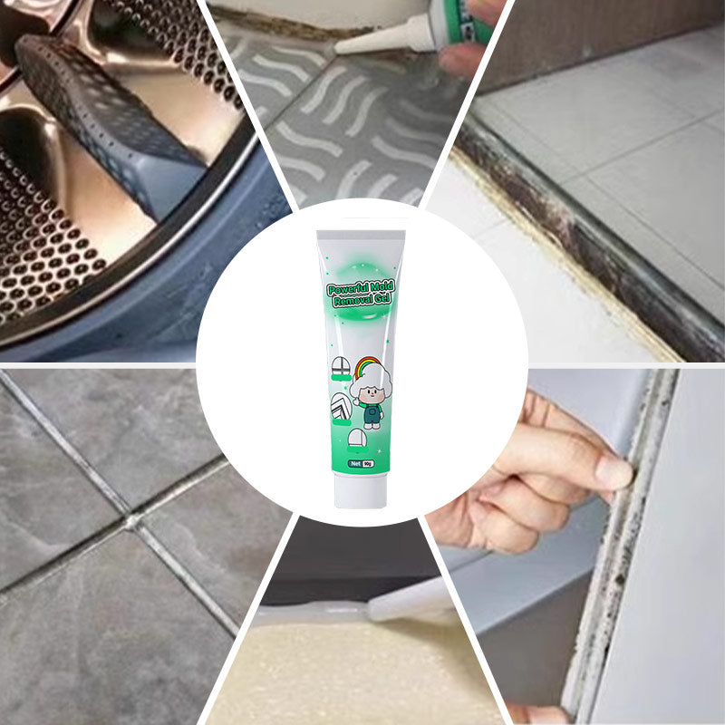 🫧Gel Anti-Moisissure Puissant