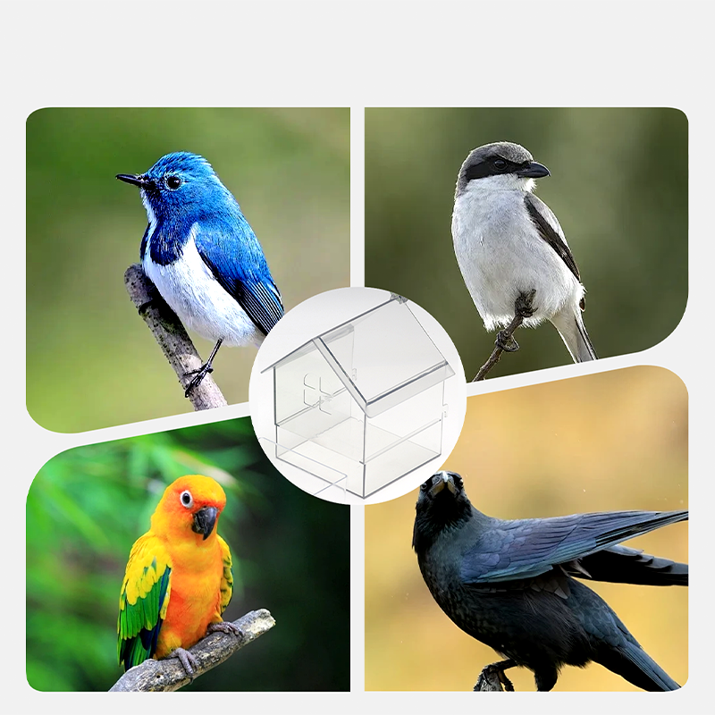 🐦🔥 50 % DE RÉDUCTION – Mangeoire externe coulissante pour perroquets ✨