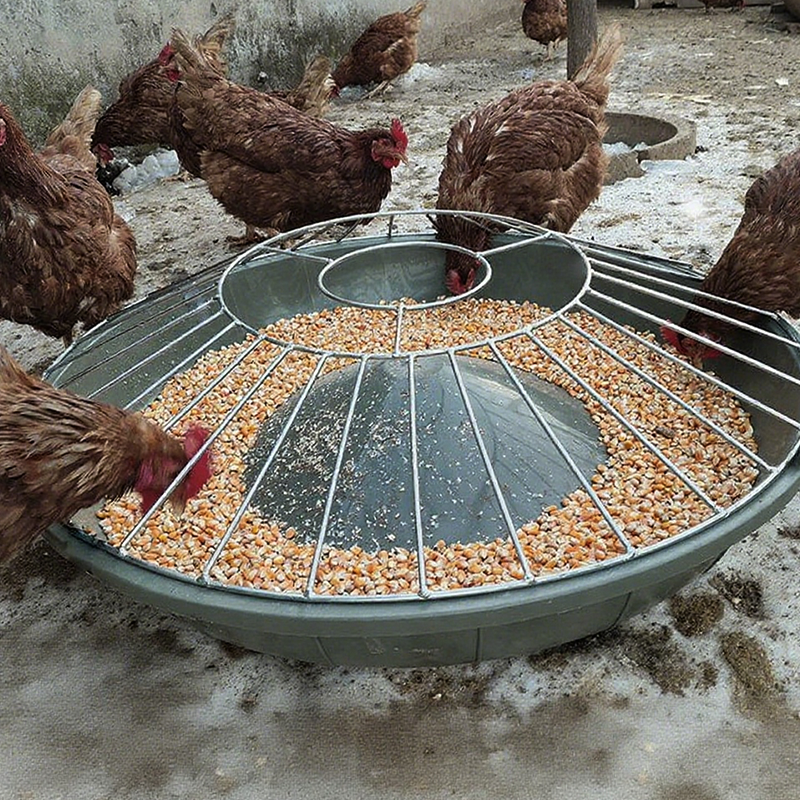 Mangeoire Ronde de Grande Capacité pour Volaille