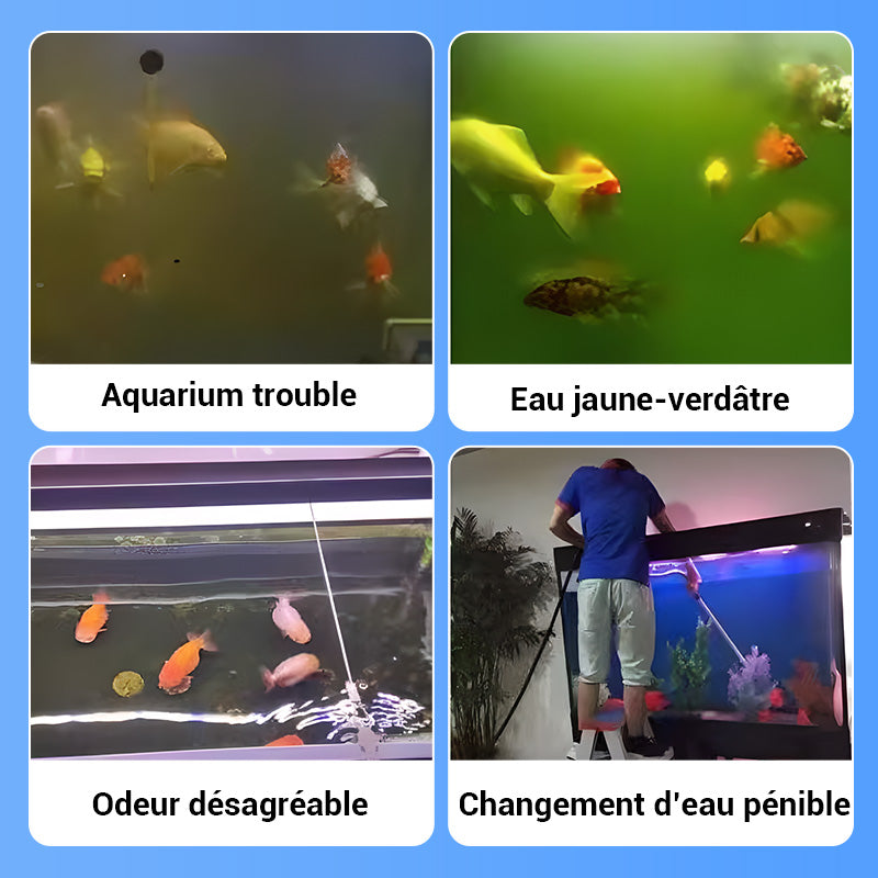 【📍Série pour Aquarium📍】Comprimé Puissant de Purification de l'Eau pour Aquarium