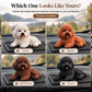 Ornement Caniche pour Voiture – La décoration la plus mignonne pour votre tableau de bord 🐶✨