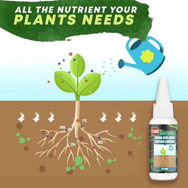 🔥Solution nutritive pour plantes