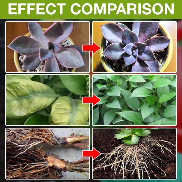 🔥Solution nutritive pour plantes