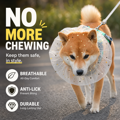 ⏳Offre limitée dans le temps : 50 % de réduction⏰ Muselière respirante en maille pour chien – Protection intégrale anti-ingestion🐶