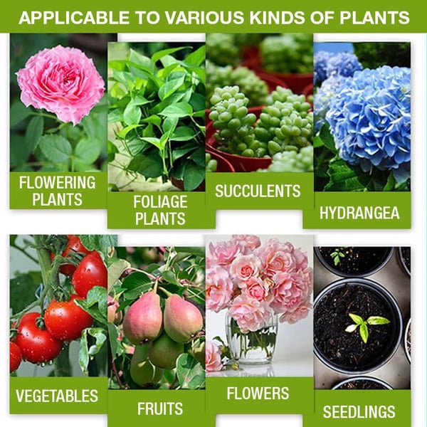 🔥Solution nutritive pour plantes