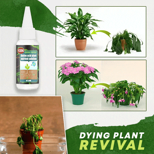🔥Solution nutritive pour plantes