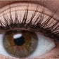 💦 PROMO LIMITÉE 50% DE RÉDUCTION ! ✨ Faux Cils Auto-Adhésifs Imperméables – Sans Colle, Regard Agrandi en 3 Secondes 👁️