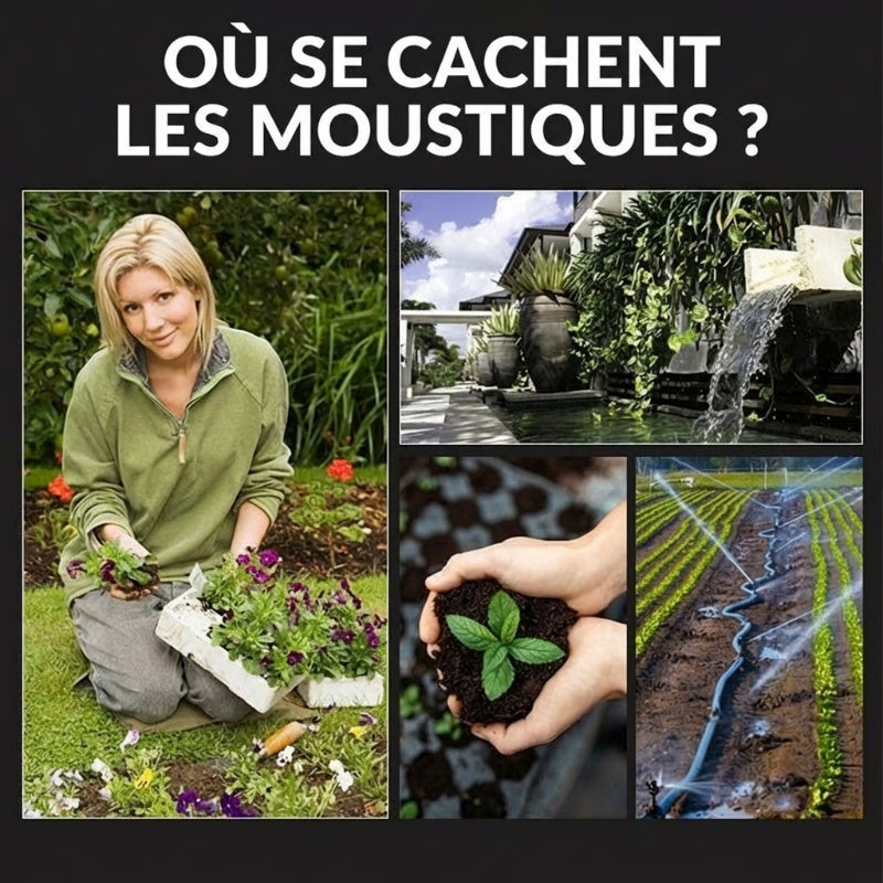 Lampe solaire anti-moustiques sur piquet