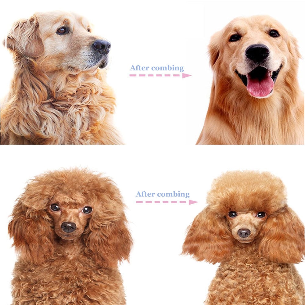 🐾 PROMO LIMITÉE 50% DE RÉDUCTION ! ✨ Brosse Démêlante pour Chats et Chiens – Professionnel, Double Face ✨