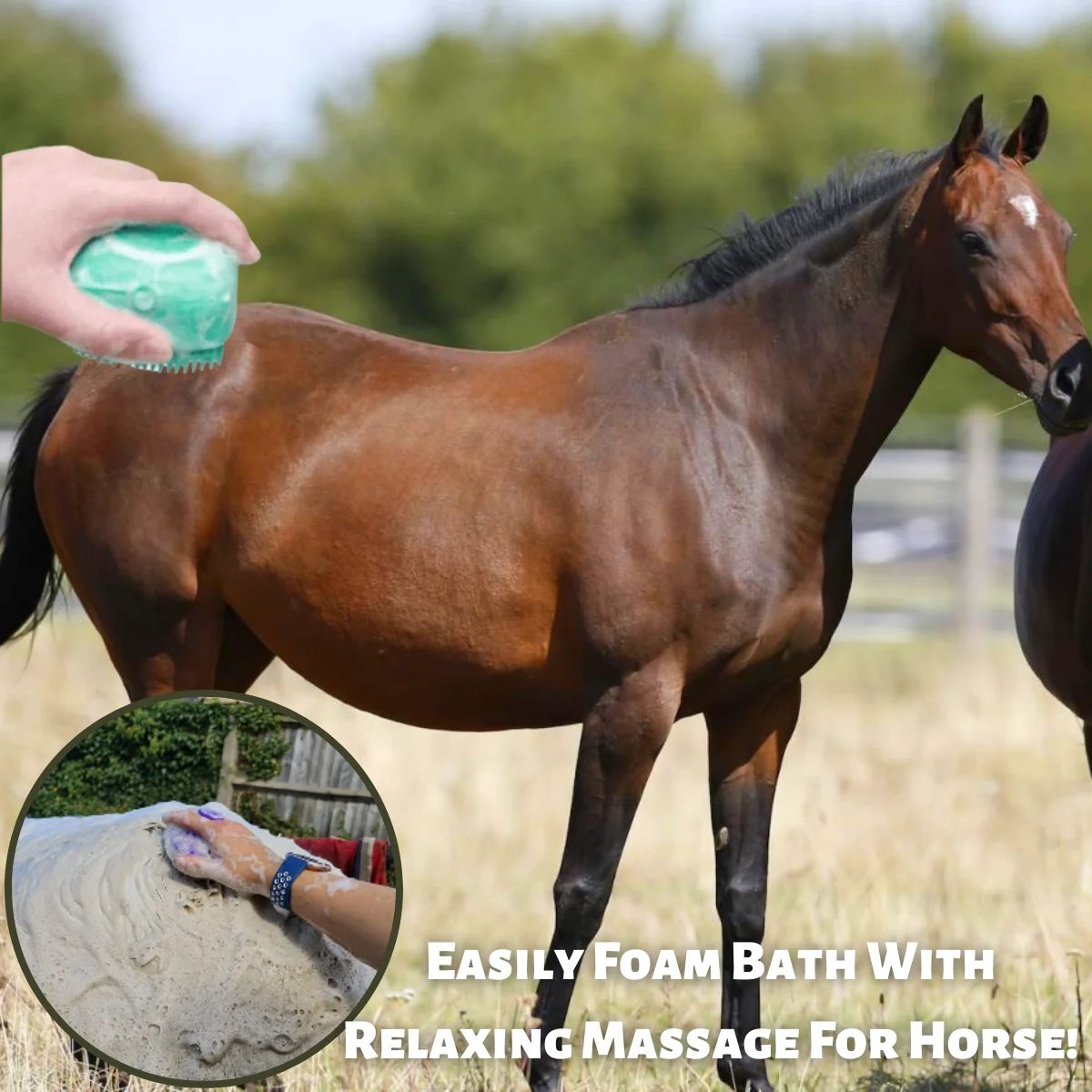 🐶Brosse de bain pour cheval, chien et chat🐱 Gants de massage Peigne de sécurité en silicone souple Accessoires pour animaux de compagnie❤️