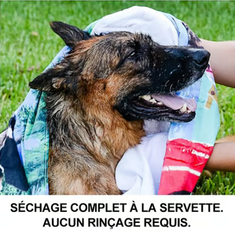 🔥Dernier jour de soldes 49% OFF🔥Gants shampooing sans rinçage pour chiens – Lingettes hypoallergéniques pour le bain des animaux, 6 packs