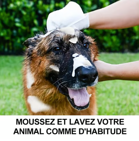 🔥Dernier jour de soldes 49% OFF🔥Gants shampooing sans rinçage pour chiens – Lingettes hypoallergéniques pour le bain des animaux, 6 packs