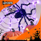 Décoration Araignée Noire d'Halloween avec Lumière