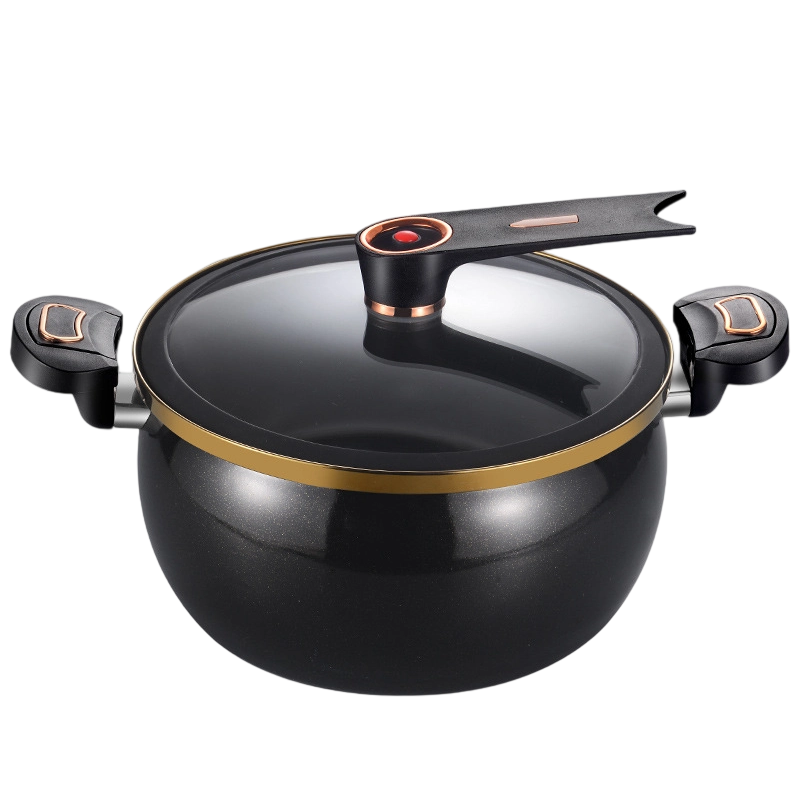 🔥Offre limitée dans le temps : 50 % de réduction🔥 Grande marmite émaillée à micropression