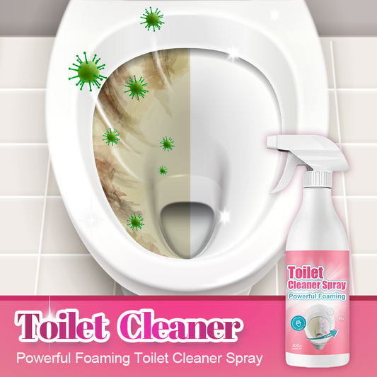 Spray en Mousse Nettoyant Puissant WC