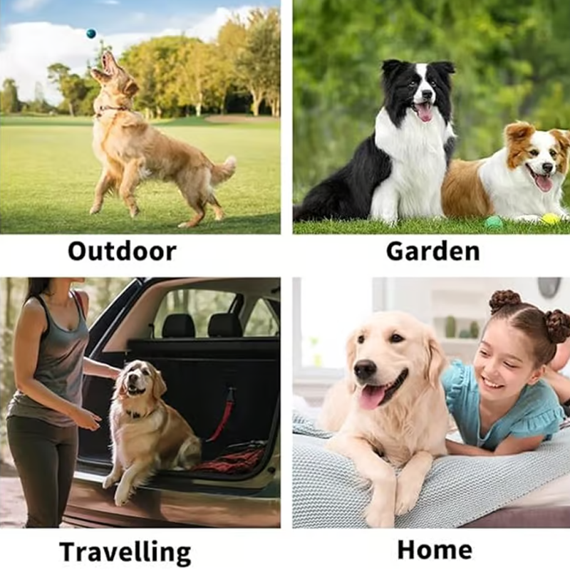 🔥Dernier jour de soldes 49% OFF🔥Gants shampooing sans rinçage pour chiens – Lingettes hypoallergéniques pour le bain des animaux, 6 packs