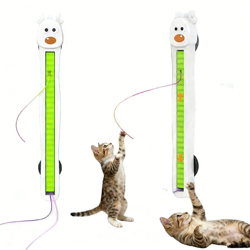 💥Jouet d'enrichissement automatique à suspendre pour chat🥳