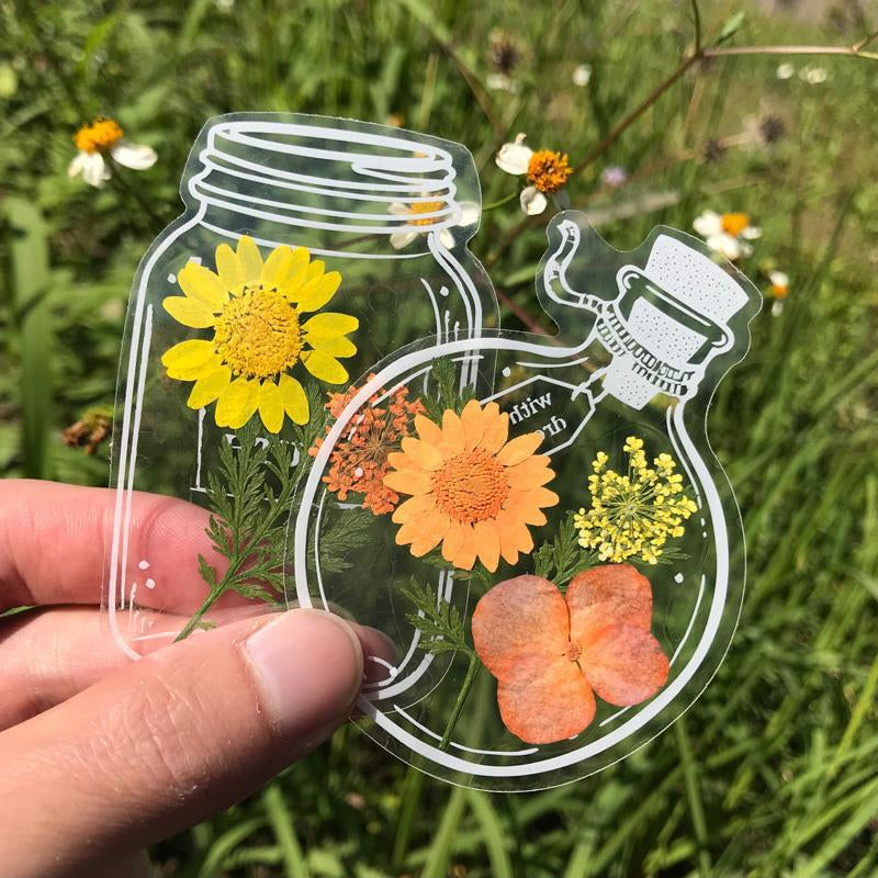 🌸Signets de Fleurs Séchées Transparentes（avec ruban de  gratuit）🦋