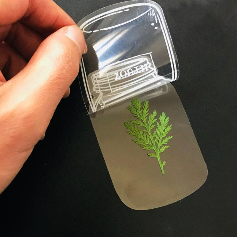 🌸Signets de Fleurs Séchées Transparentes（avec ruban de  gratuit）🦋