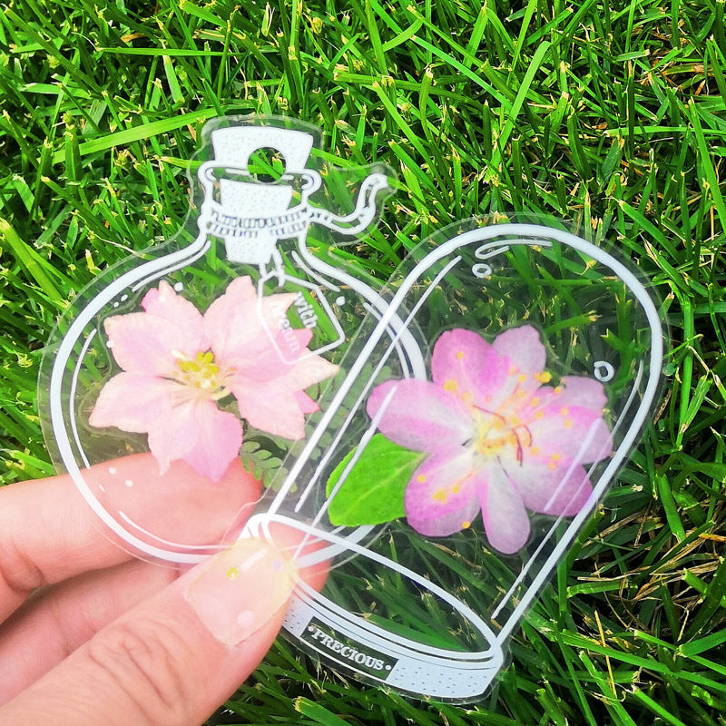 🌸Signets de Fleurs Séchées Transparentes（avec ruban de  gratuit）🦋