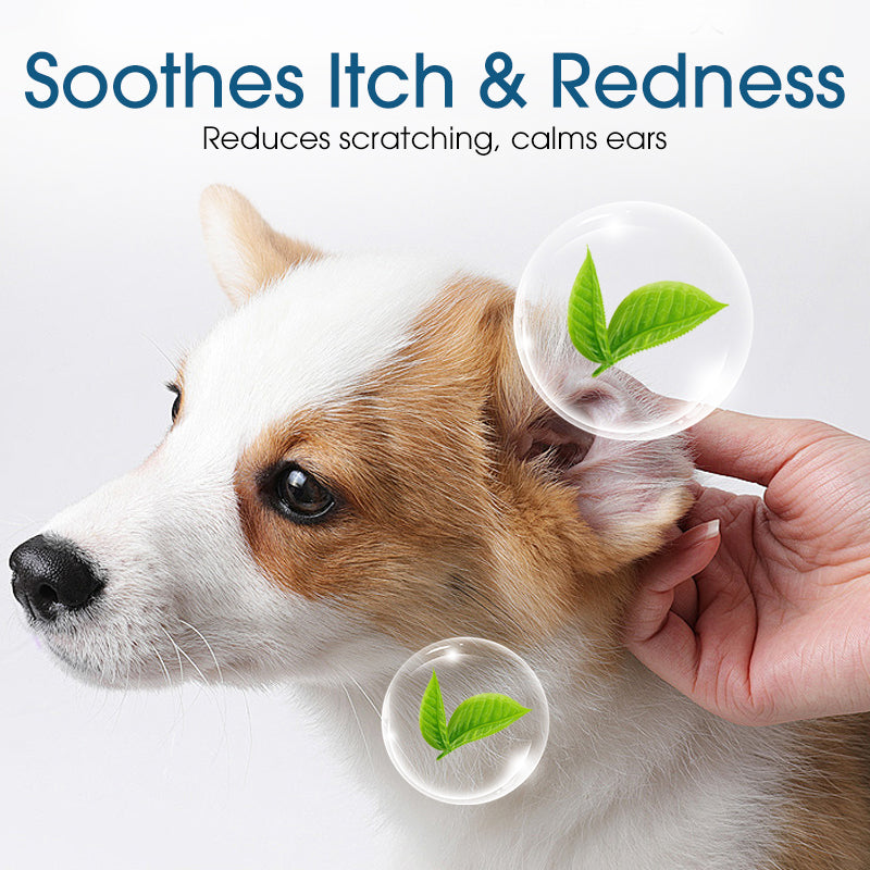 🐶 50% DE RÉDUCTION ! 🌿 Solution Nettoyante Auriculaire pour Chiens et Chats – Soulage les Démangeaisons, Nettoie en Douceur – Extraits de Plantes Naturelles & Formule Douce – Idéale pour les Oreilles Sensibles 🐱✨
