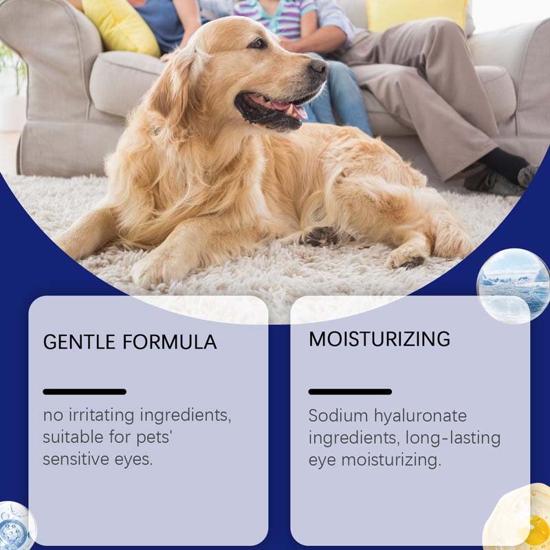 🐶🐱Collyre pour chiens et chats 💧👁️