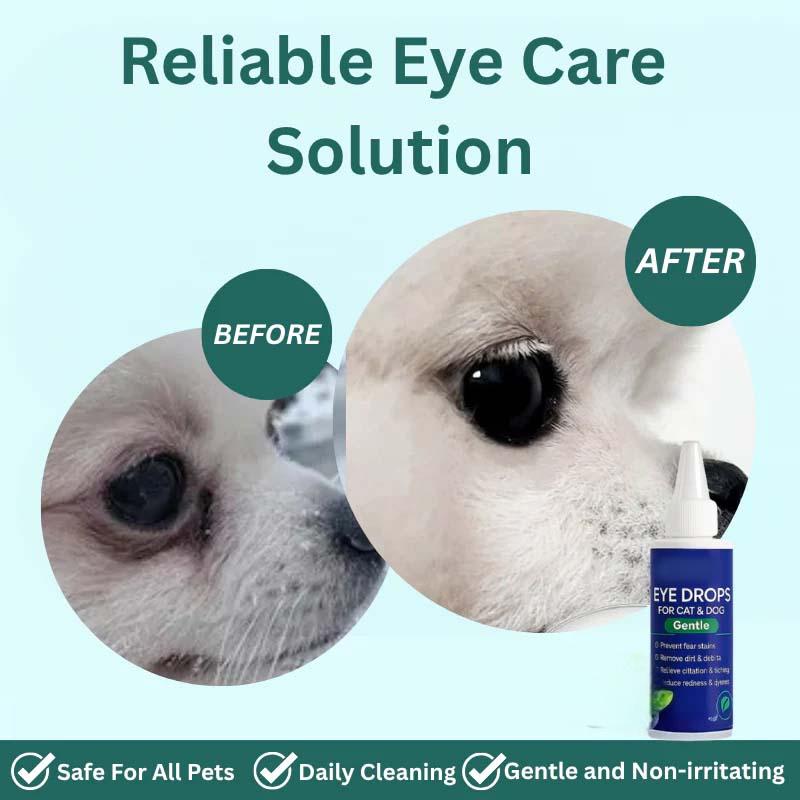 🐶🐱Collyre pour chiens et chats 💧👁️