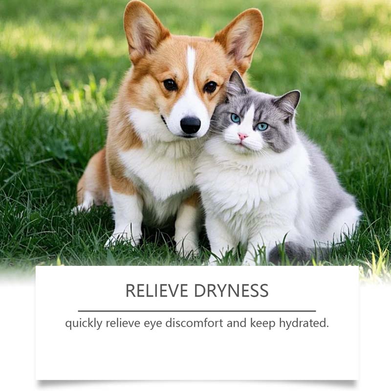 🐶🐱Collyre pour chiens et chats 💧👁️