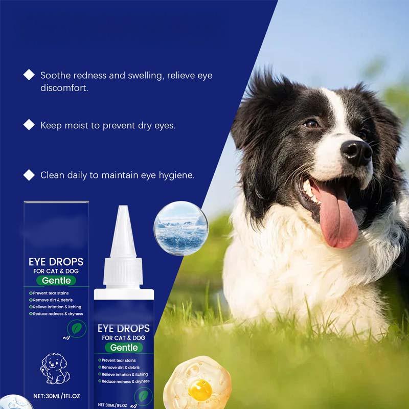 🐶🐱Collyre pour chiens et chats 💧👁️