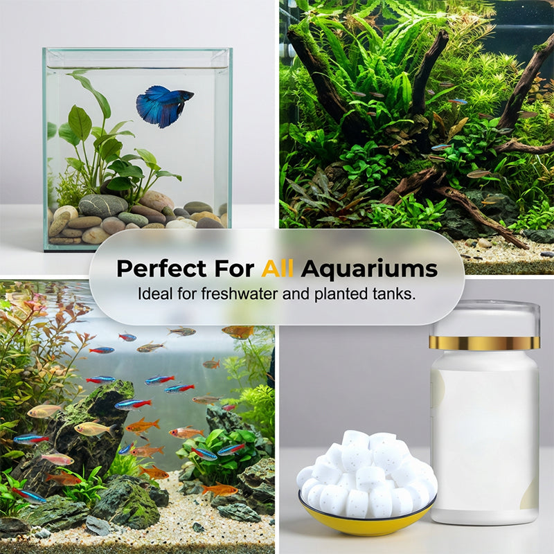 💐50% DE RÉDUCTION ! Traitement Anti-Algues Aquarium – Sans Danger pour Poissons & Plantes 🌿🐠【Qualité Pro】