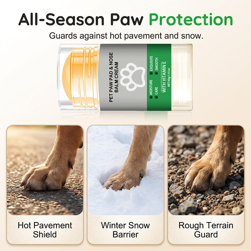 🐶 Crème hydratante pour les pattes de votre animal — un soin pratique pour rendre les pattes de votre compagnon douces et lisses
