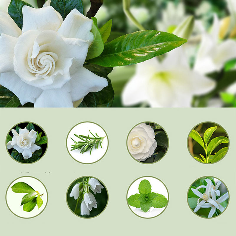 🔥‑50% PROMO🔥Diffuseur d’aromathérapie automatique 🎐Silencieux, diffusion régulière, ambiances parfumées chez vous ✨