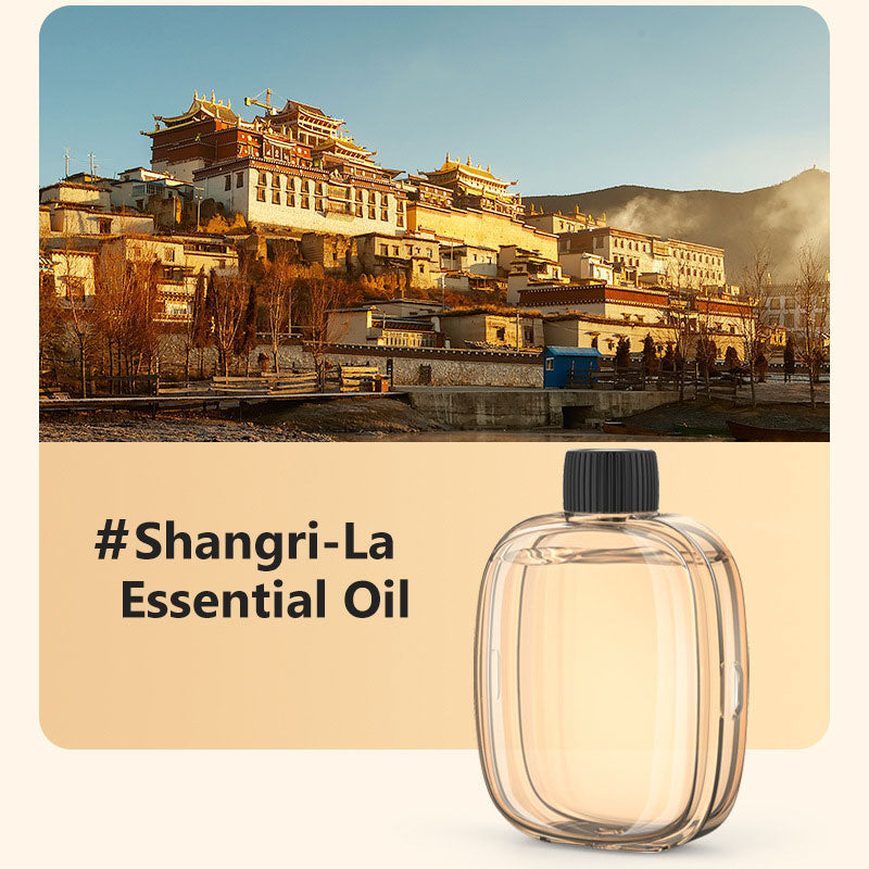 🔥‑50% PROMO🔥Diffuseur d’aromathérapie automatique 🎐Silencieux, diffusion régulière, ambiances parfumées chez vous ✨
