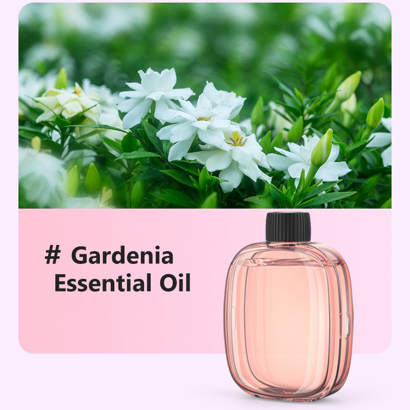 🔥‑50% PROMO🔥Diffuseur d’aromathérapie automatique 🎐Silencieux, diffusion régulière, ambiances parfumées chez vous ✨