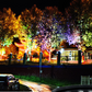 🌳 50% DE RÉDUCTION! 💡 Éclairage annulaire pour arbres – Spots étanches, lumière chaleureuse & design discret – Transforme votre jardin en allée féerique la nuit ✨
